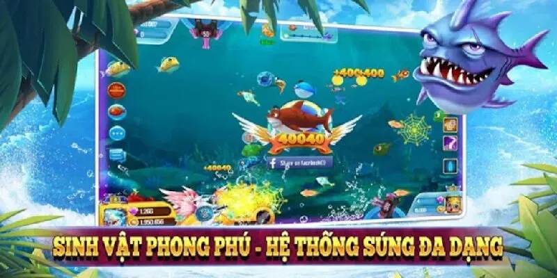 Kỹ thuật bắn cá hiệu quả