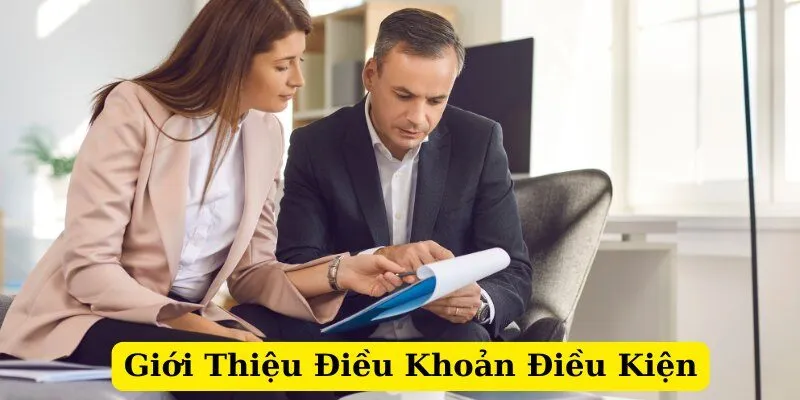 Giới thiệu về điều khaonr điều kiện b88