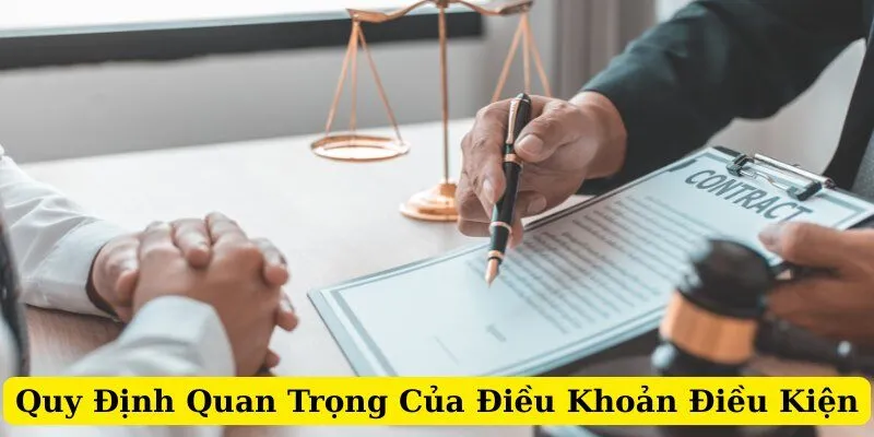 Những điều luật quan trọng về điều khoản điều kiện b88